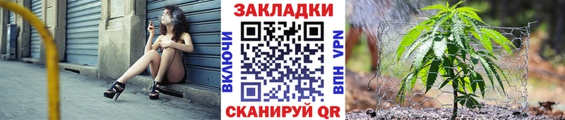 Купить закладку Конопля  COCAIN  Гашиш  Псилоцибиновые грибы  Меф  Лесозаводск